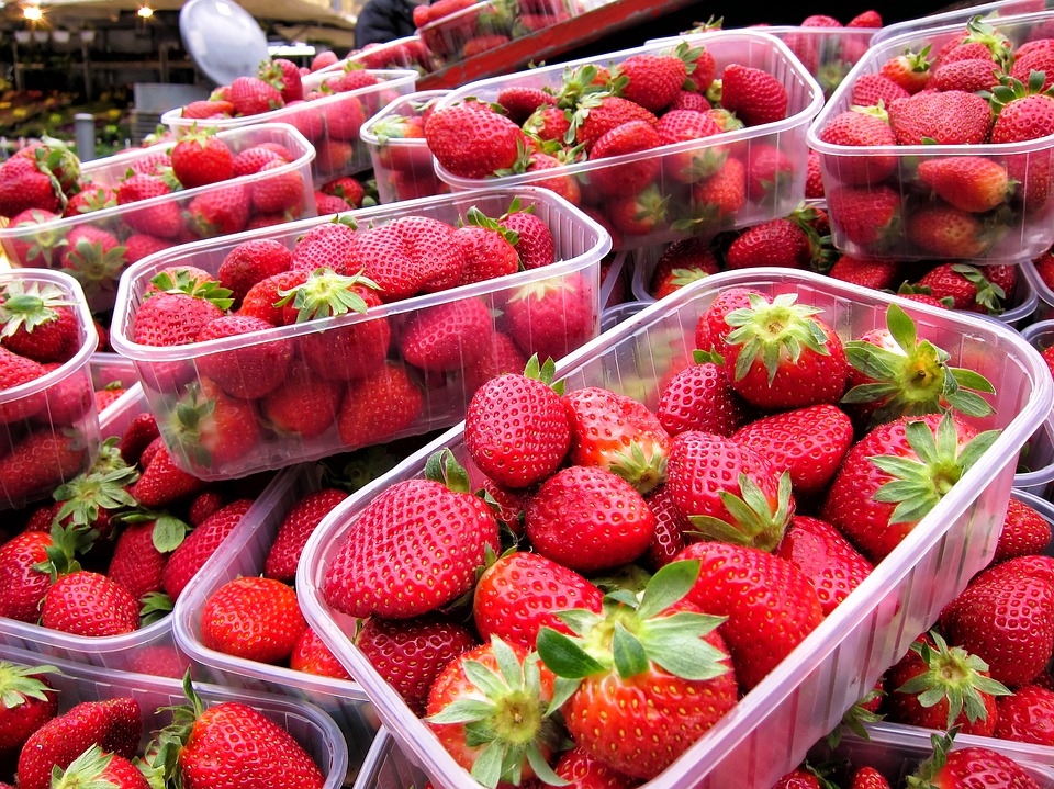 Le prix des fraises continue de baisser